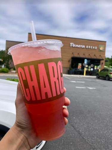 all free stuff: free Panera drinks